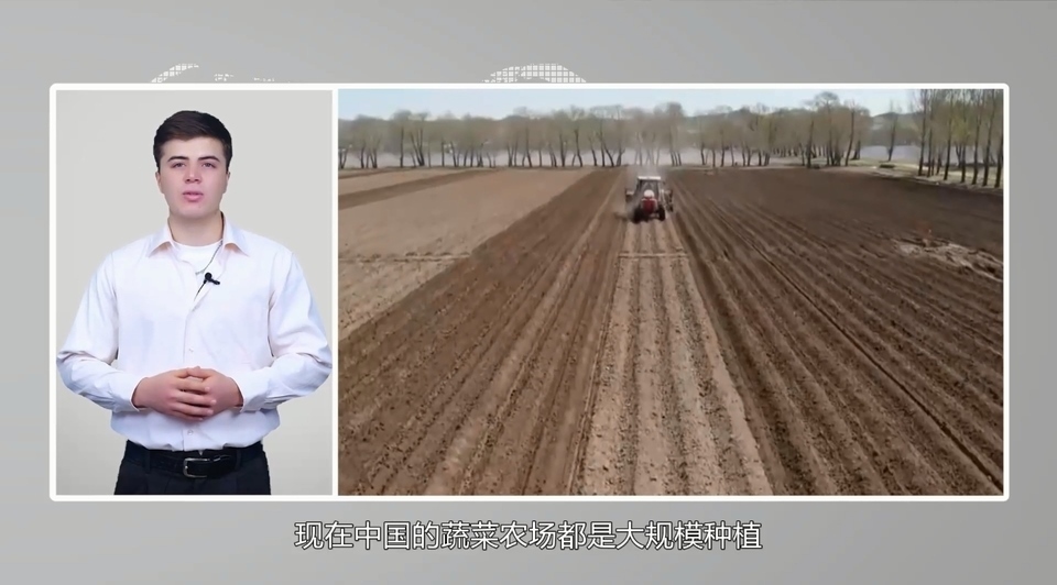 【國際3分鐘】中國大蒜成國家威脅？美政客反智言論背后的問題值得思考_fororder_2