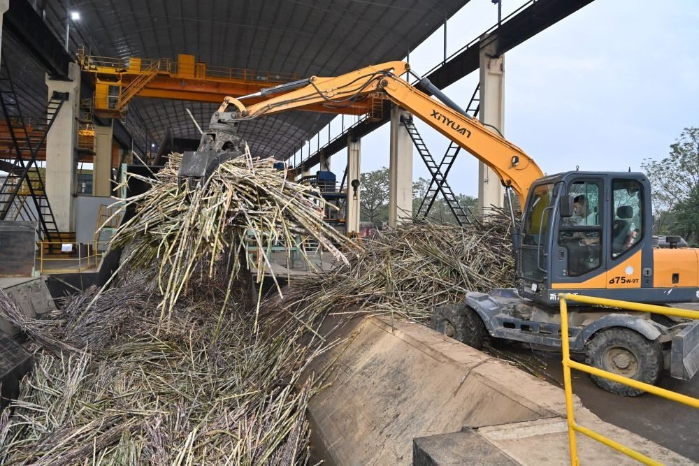 12月14日，在廣西來賓東糖鳳凰有限公司，員工操作機械將甘蔗投入傳送帶，準備送往壓榨車間。