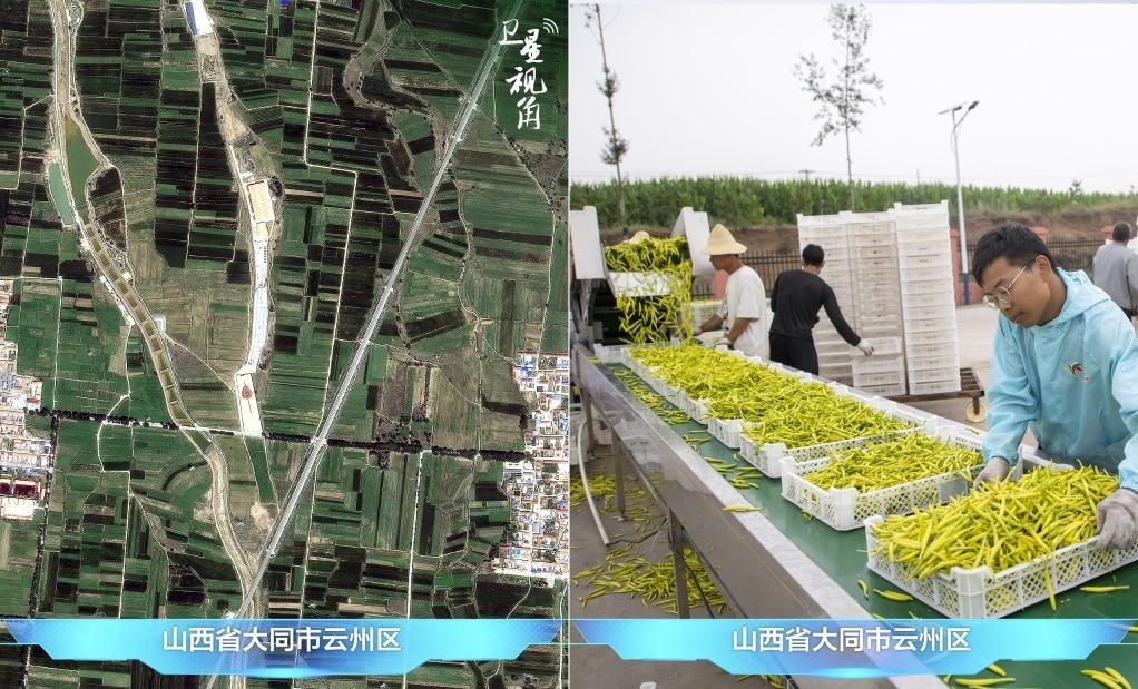 當(dāng)前，大同市開發(fā)黃花菜品、食品、飲品、功能食品、化妝品、文創(chuàng)產(chǎn)品六大系列130余種，全產(chǎn)業(yè)鏈產(chǎn)值超40億元。