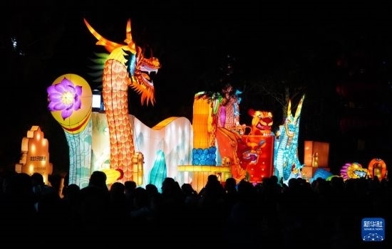 2月11日晚，人們?cè)跐?jì)南市趵突泉公園觀賞花燈。