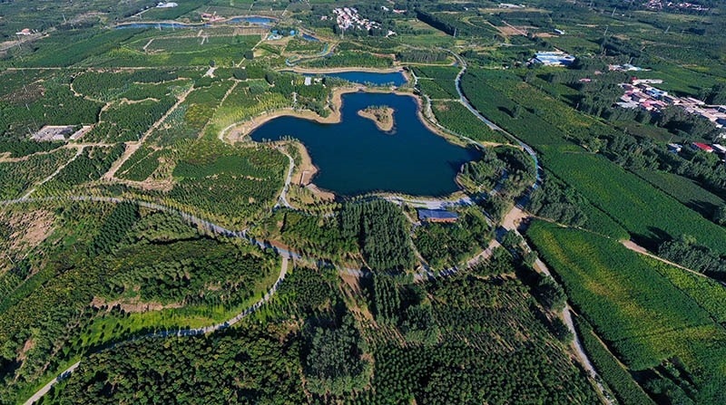 這是2022年9月6日拍攝的雄安新區(qū)“千年秀林”。