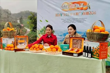 2021年2月26日，在重慶渝北區(qū)大盛鎮(zhèn)青龍村舉辦的直播活動現(xiàn)場。