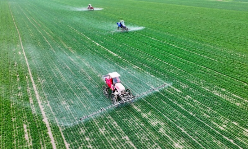 2024年2月18日，安徽省亳州市，利辛縣紀(jì)王場鄉(xiāng)孫老家村麥田，農(nóng)民駕駛自走式高桿噴霧機(jī)對小麥進(jìn)行噴藥作業(yè)。