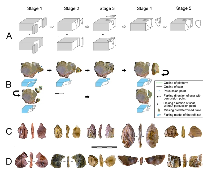 岑家灣遺址“準(zhǔn)備石核技術(shù)”及相關(guān)石制品。（受訪(fǎng)單位供圖）