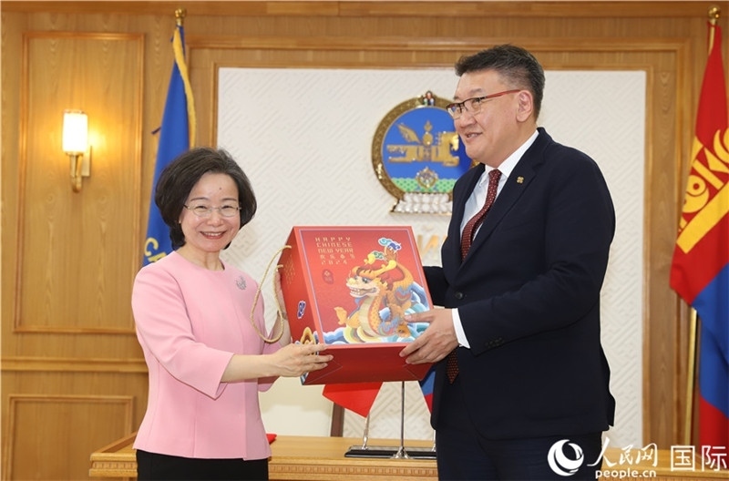 沈大使向扎布赫楞部長(zhǎng)贈(zèng)送吉祥龍。人民網(wǎng)記者 霍文攝