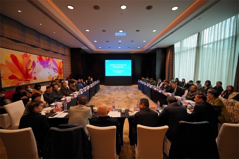 座談會(huì)現(xiàn)場(chǎng)。主辦方供圖