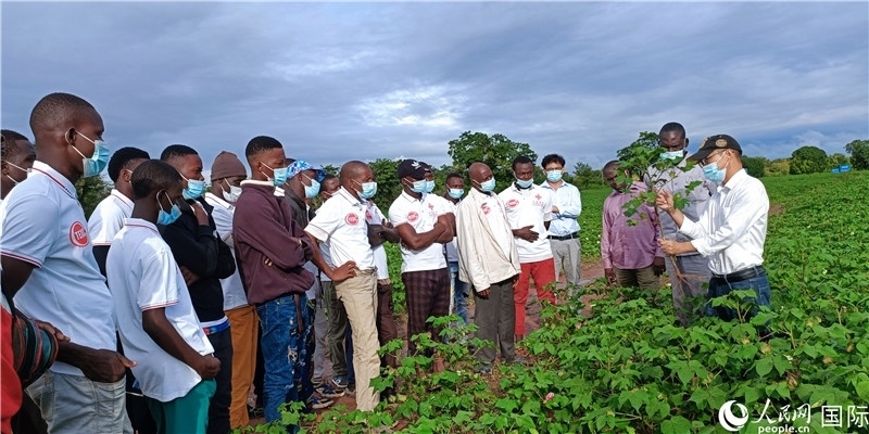 項目組長首小勇向當(dāng)?shù)孛揶r(nóng)做技術(shù)講解。人民網(wǎng)記者 黃培昭攝