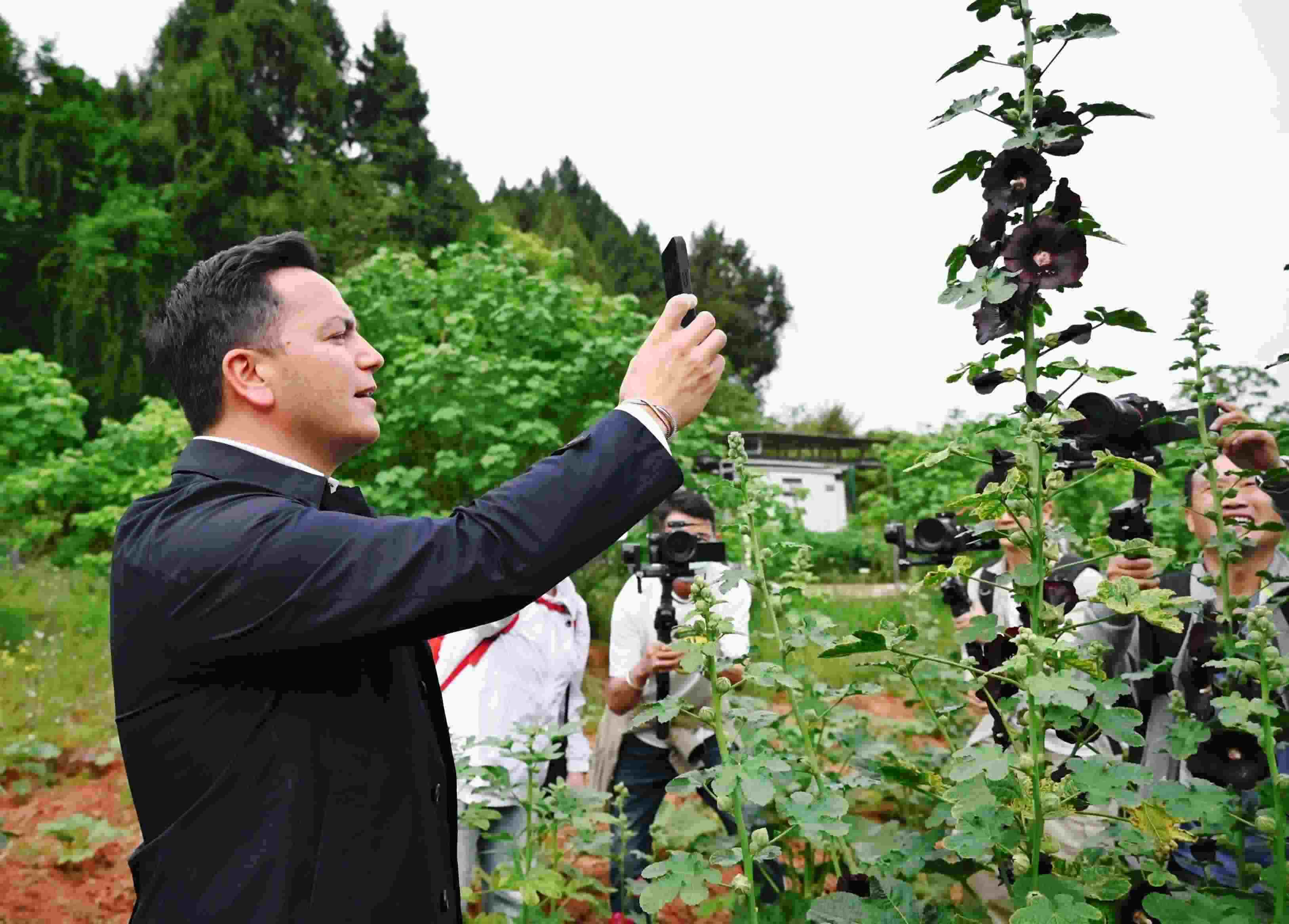  △2024年4月23日，國際園藝生產(chǎn)者協(xié)會主席萊昂納多·卡皮塔尼奧在成都市金堂縣鮮花山谷景區(qū)考察蜀葵產(chǎn)業(yè)。