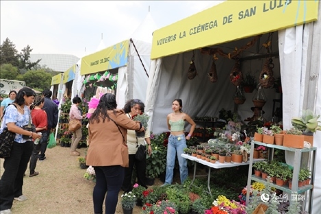 坎波·馬特活動現(xiàn)場。埃內斯托·多明戈斯攝