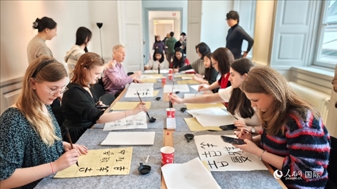 瑞典書法愛好者專心學(xué)習(xí)書法。人民網(wǎng)記者 殷淼攝