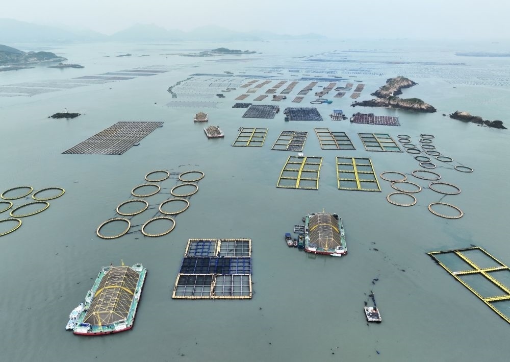 在福建連江定海灣海域，坐落著“定海灣1號(hào)”“定海灣2號(hào)”等深遠(yuǎn)海養(yǎng)殖平臺(tái)（2024年5月7日攝，無人機(jī)照片）。新華社記者 林善傳 攝