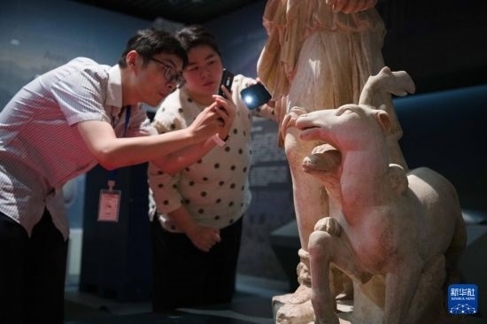 7月2日，安徽博物院工作人員在拍攝開箱后的古希臘文物。新華社記者 張端 攝