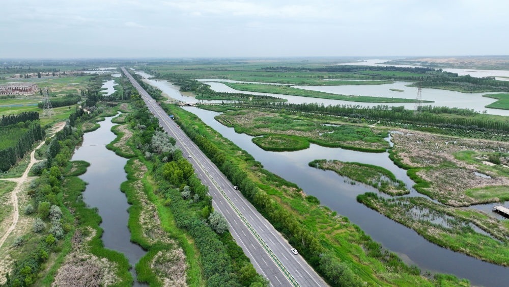 這是2024年6月13日拍攝的黃河寧夏段濱河大道（無人機照片）。近年來，寧夏努力建設(shè)黃河流域生態(tài)保護和高質(zhì)量發(fā)展先行區(qū)，全力打好黃河保護持久戰(zhàn)。新華社記者 王鵬 攝