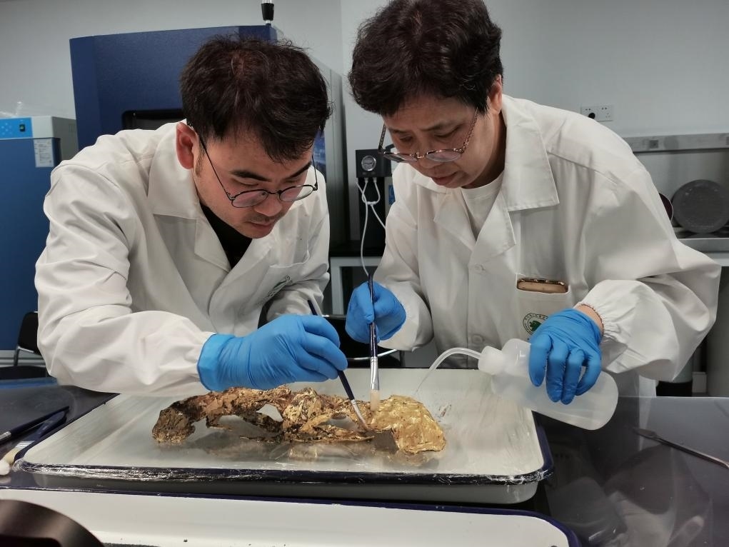 2023年7月，馬燕如（右）帶著魯海子（左）修復三星堆遺址出土的黃金面具。新華社發(fā)（四川省文物考古研究院供圖）