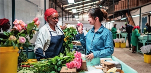 湖南璽悅國際貿(mào)易有限公司負責(zé)人黃梓楠（右）在肯尼亞納紐基的坦布濟花卉農(nóng)場挑選鮮花（2024 年 5 月 18 日攝）王冠森攝 / 本刊
