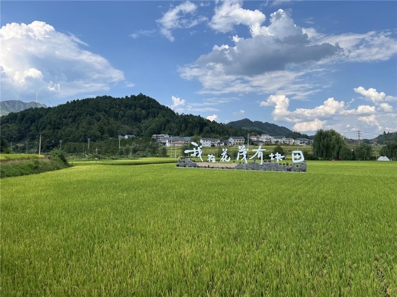 青瓦白磚的黔北民居、風(fēng)中搖曳的稻田、抬手可觸的大片云朵……才剛下車，格魯吉亞“經(jīng)濟(jì)中心網(wǎng)”總編輯莉安娜·喬爾喬利亞尼就被眼前的景色拖住了步履，喃喃細(xì)語(yǔ)：“實(shí)在太美了，讓我內(nèi)心平靜，在這里生活一定非常安逸和幸福?！保ㄇ褫x攝）