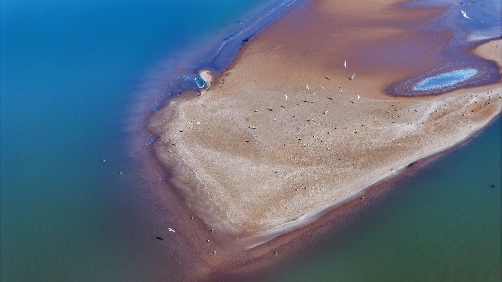 2024年3月1日拍攝的黃河寧夏段（無人機照片）。