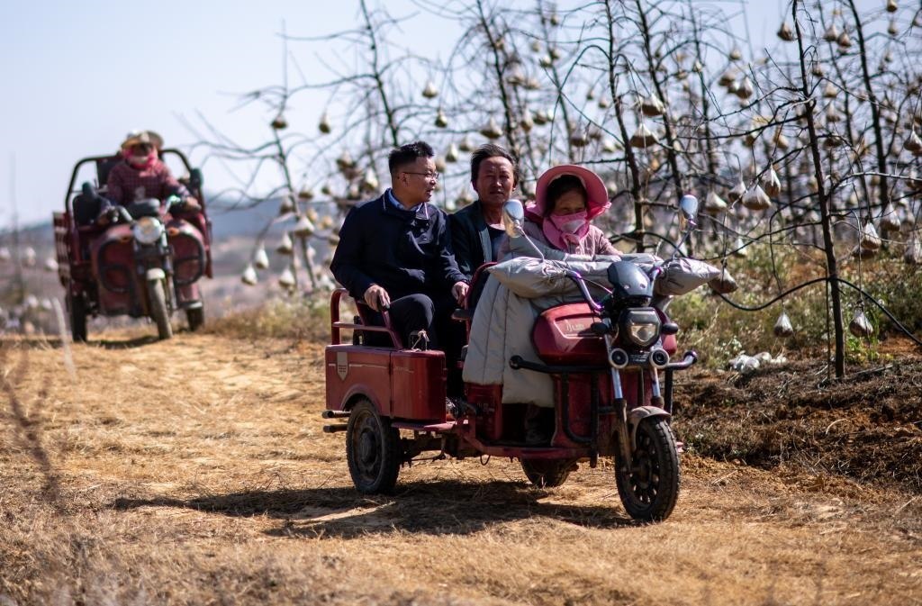 全國(guó)人大代表袁海波（右三）在云南省曲靖市馬龍區(qū)一種植基地了解務(wù)工人員就業(yè)需求（2023年2月11日攝）。新華社記者 江文耀 攝