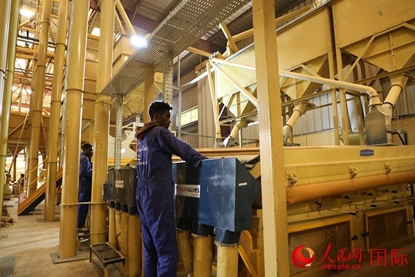 在Bule Hora咖啡加工廠里工作的當?shù)毓と藗?。人民網(wǎng)記者 沈小曉攝