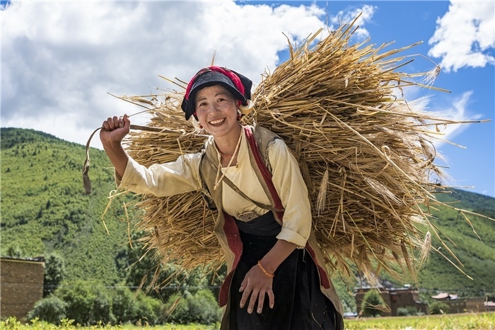 康定市甲根壩鎮(zhèn)青稞豐收，農(nóng)牧民臉上洋溢著豐收的喜悅。林革文攝