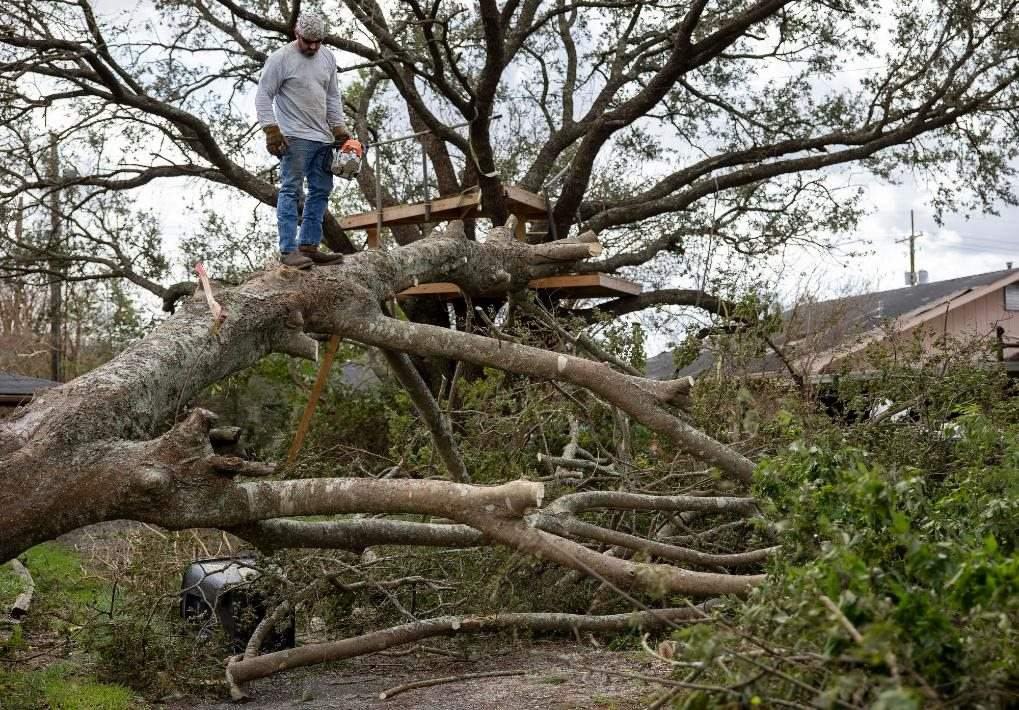 2021年8月30日，在美國路易斯安那州霍馬，一名男子站在被颶風(fēng)吹倒的大樹上。新華社發(fā)（尼克·瓦格納 攝）