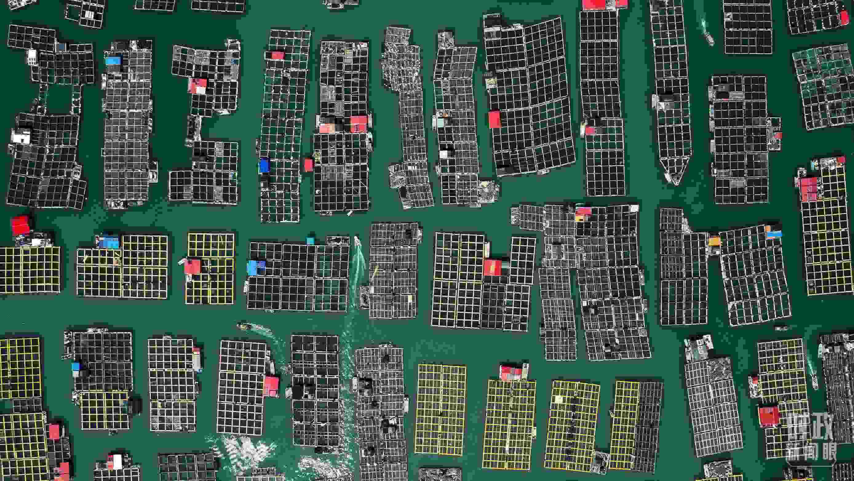 △澳角村。（總臺(tái)記者李晉拍攝）