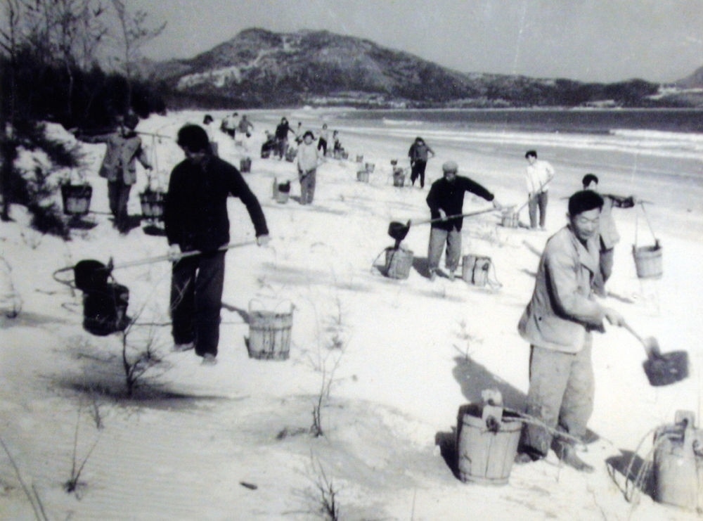 上世紀(jì)東山百姓在沙灘造林（資料照片）。