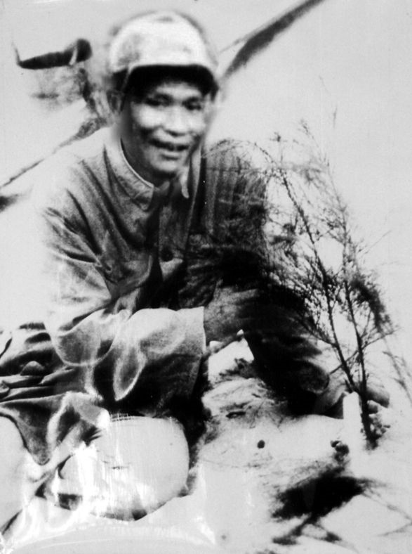 谷文昌與試種成活的木麻黃（資料照片）。為了治沙，谷文昌爬遍了東山縣400多個(gè)山頭，踏遍了30多公里的沙灘，終于帶領(lǐng)東山人民試種木麻黃成功。