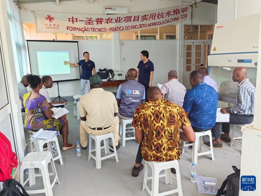 中國(guó)援圣普農(nóng)牧業(yè)技術(shù)項(xiàng)目組專家段振華（后左）在圣多美和普林西比的國(guó)家獸醫(yī)實(shí)驗(yàn)室開(kāi)展動(dòng)物疫病監(jiān)測(cè)技術(shù)培訓(xùn)（2024年6月21日攝）。新華社發(fā)（中國(guó)援圣普農(nóng)技組供圖）