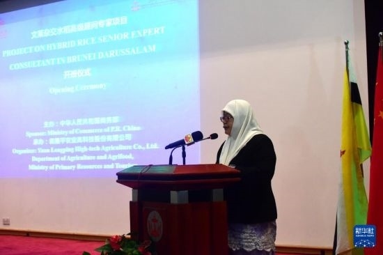 10月26日，文萊初級(jí)資源與旅游部常任秘書(shū)圖蒂亞蒂在斯里巴加灣市出席中國(guó)與文萊雜交水稻高級(jí)專家顧問(wèn)項(xiàng)目啟動(dòng)儀式。新華社記者 李萌 攝