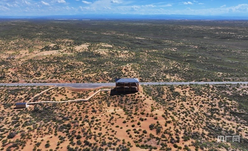 古浪縣一代代人治沙不息，讓綠色向沙漠深處不斷延伸（央廣網(wǎng)記者 李紅軍 攝）