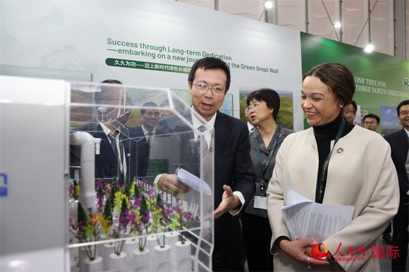 嘉賓參觀中國館。人民網(wǎng)記者任皓宇攝