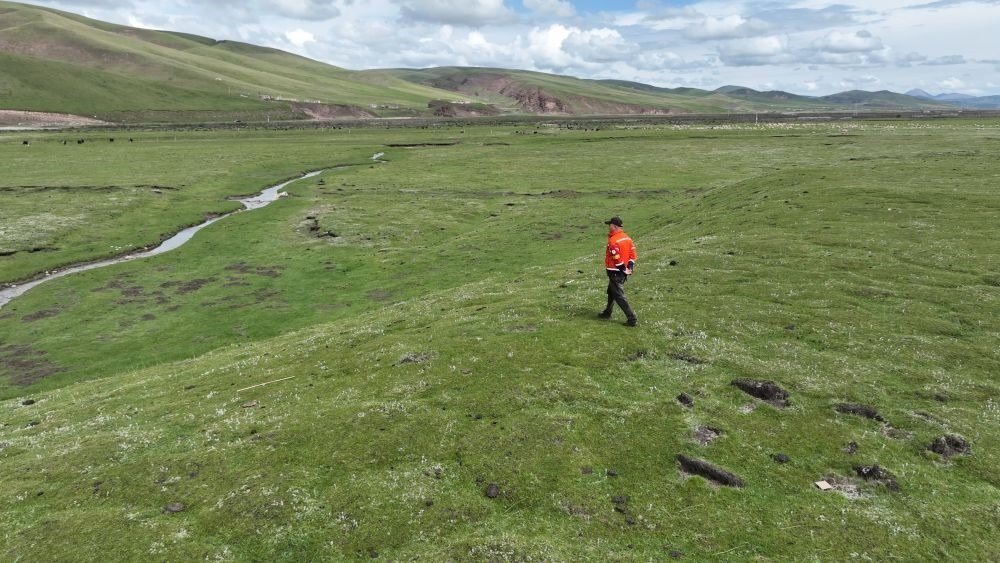 9月24日，生態(tài)管護員那瓦才郎在草場上巡護。（受訪者供圖）