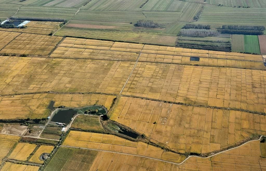 俯瞰黑龍江省哈爾濱市一處稻田（10月2日攝，無(wú)人機(jī)照片）。新華社記者 孫曉宇 攝