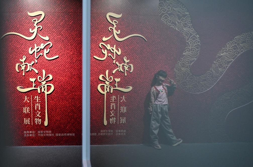 1月18日，一名小朋友在國(guó)家自然博物館舉辦的“靈蛇獻(xiàn)瑞——2025乙巳蛇年生肖文物大聯(lián)展”展覽中拍照留念。（新華社記者 陳鐘昊 攝）