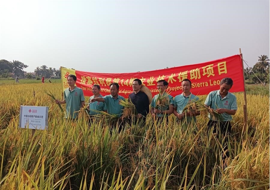中國(guó)駐塞拉利昂大使王擎和援塞農(nóng)業(yè)專(zhuān)家組合影。中國(guó)援塞農(nóng)業(yè)專(zhuān)家組供圖