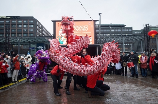 舞龍、舞獅表演。中國駐芬蘭大使館供圖