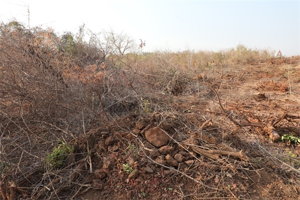 施工現(xiàn)場(chǎng)。張曉昆攝