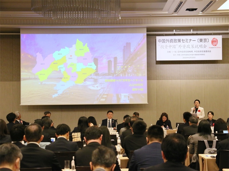 地方代表進行專題投資推介。人民網 許可攝