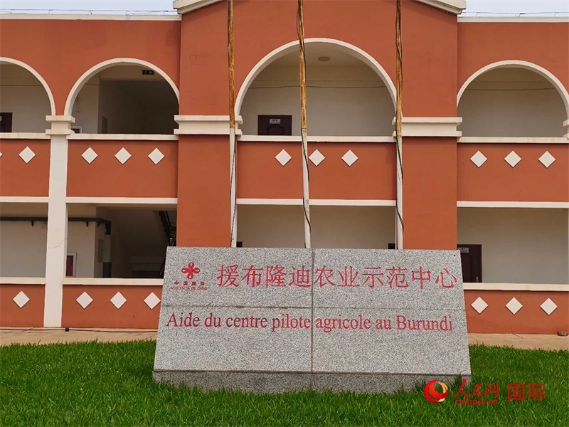 援布隆迪農(nóng)業(yè)示范中心。人民網(wǎng)記者 黃培昭攝