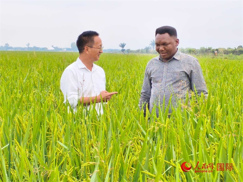 專家組組長楊華德在與農(nóng)民學員交流。人民網(wǎng)記者黃培昭攝