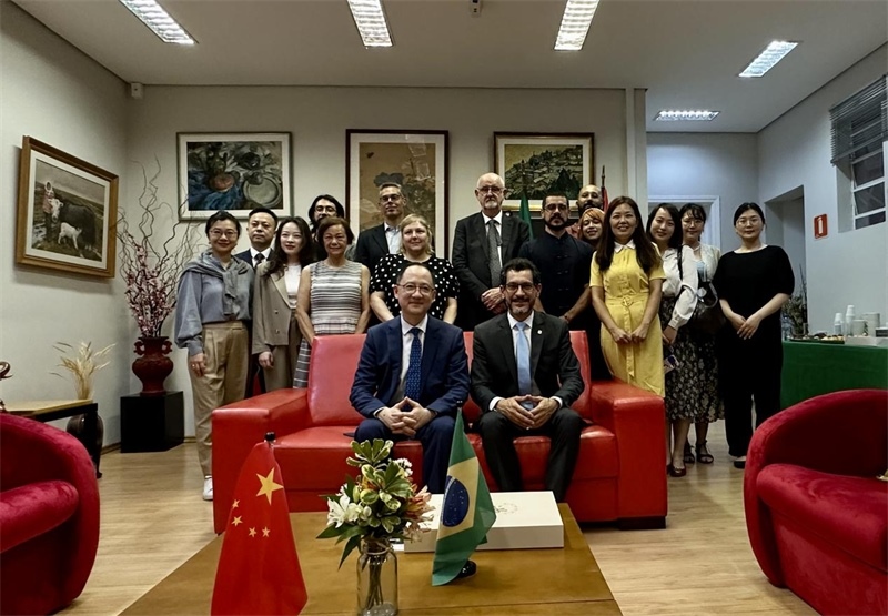 圖為參加座談會(huì)的來(lái)賓合影留念。 圣保羅州立大學(xué)孔子學(xué)院供圖