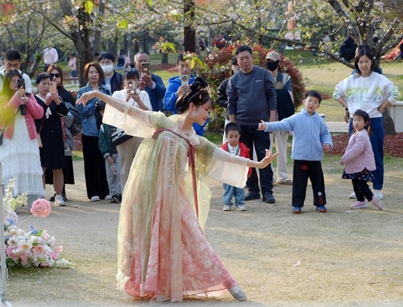 清明假期期間，上海顧村公園櫻花島上，游客在觀賞國風漢服快閃表演。（圖片來源：視覺中國）