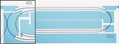 微波光量子傳感器的光學(xué)顯微照片。圖片來源：美國哈佛大學(xué)