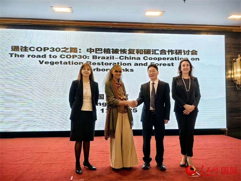 中國國家林業(yè)和草原局副局長李云卿（右二）、巴西環(huán)境和氣候變化部部長瑪麗娜·席爾瓦（左二）、巴西財政部副部長羅熙丹（右一）、巴西駐華大使館公參樂美（左一）出席“通往COP30之路：中巴植樹造林和碳匯合作研討活動”。人民網(wǎng)記者 符園園攝