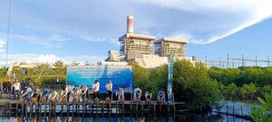 5月18日，中印尼嘉賓在爪哇7號燃煤電站舉行紅樹林補(bǔ)植儀式。記者 曹凱 攝