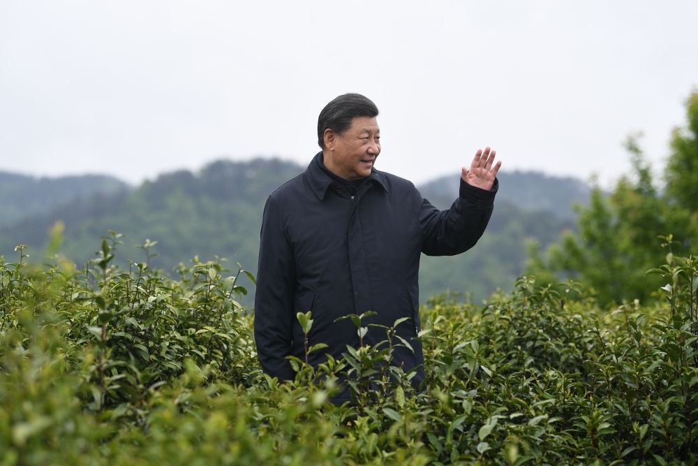 2020年4月21日，習近平總書記來到陜西安康市平利縣老縣鎮(zhèn)，在茶園考察脫貧攻堅情況。新華社記者 燕雁 攝