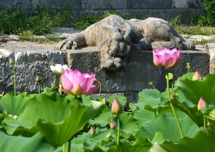 萬寧橋位于北京地安門外大街中部、什剎海東岸，是北京中軸線上最古老的橋梁，至今已有700多年歷史。近年來，北京市持續(xù)為萬寧橋“瘦身減負”，橋體風(fēng)貌得以完整展現(xiàn)，方便游客走近欣賞，深入了解古橋承載的價值和內(nèi)涵。這是2023年7月18日拍攝的北京萬寧橋橋東的鎮(zhèn)水獸。